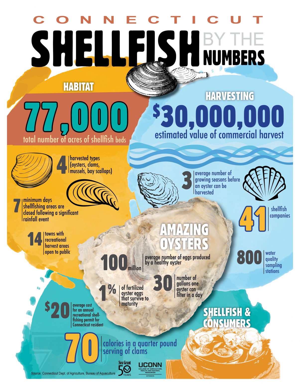 shellfish by numbers